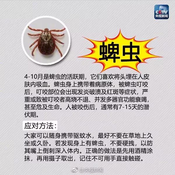 南宁邕江红火蚁,被广西红火蚁咬了怎么办