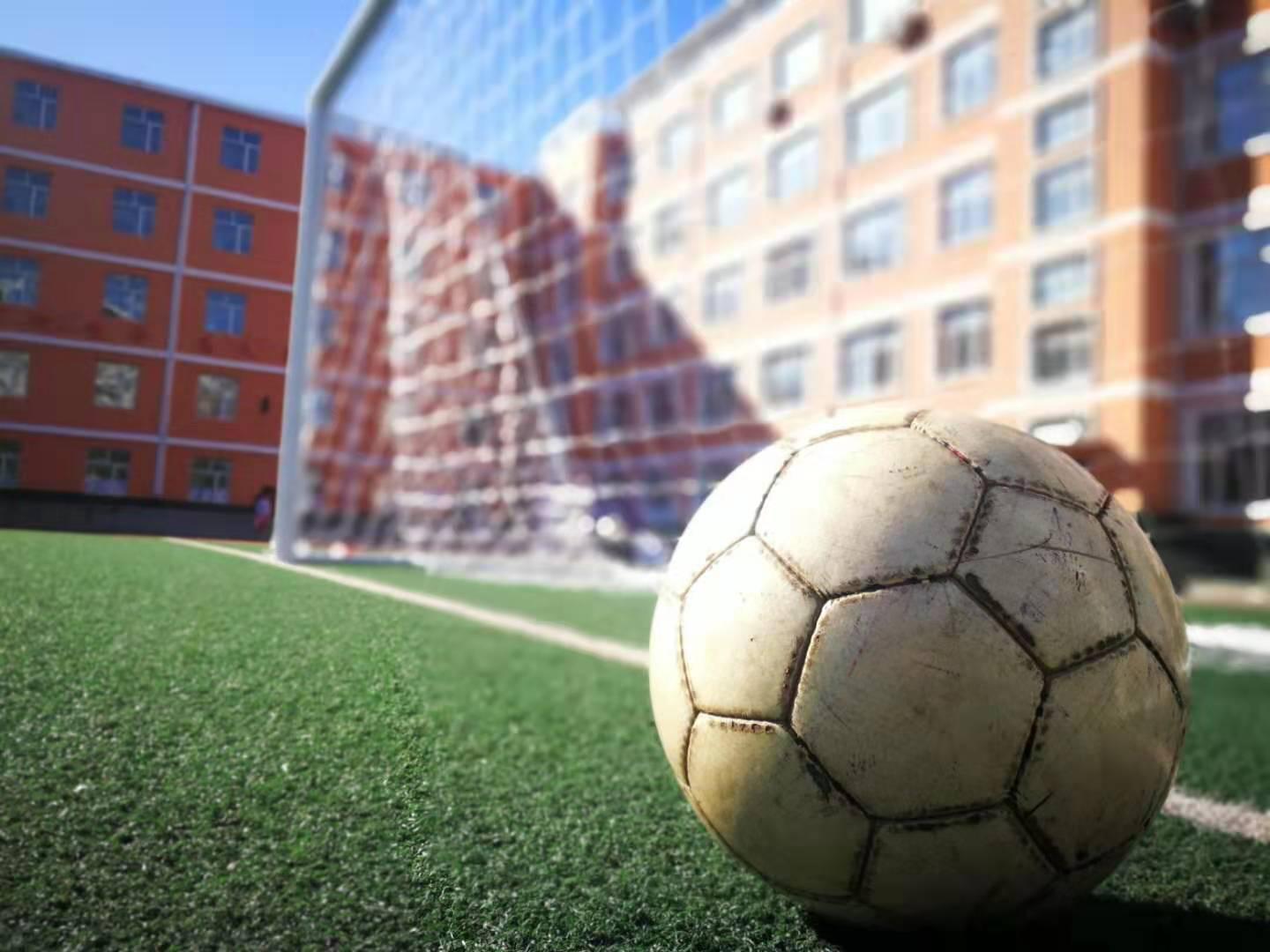 七台河市中俄足球赛,七台河俄罗斯青少年足球