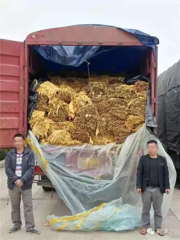 以案说法避免了诈骗,以案说法投资理财