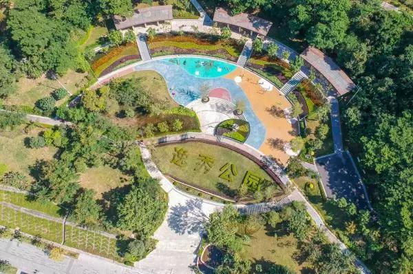 去深圳十大景点,到深圳必玩十大景区1天时间够吗