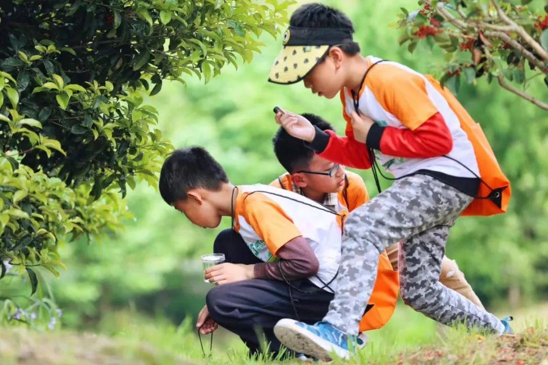 那些从小喜欢昆虫，又得到支持和尊重的孩子，活得到底有多爽？