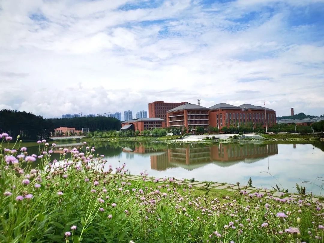 向往的生活1中的小院,精装版向往的生活