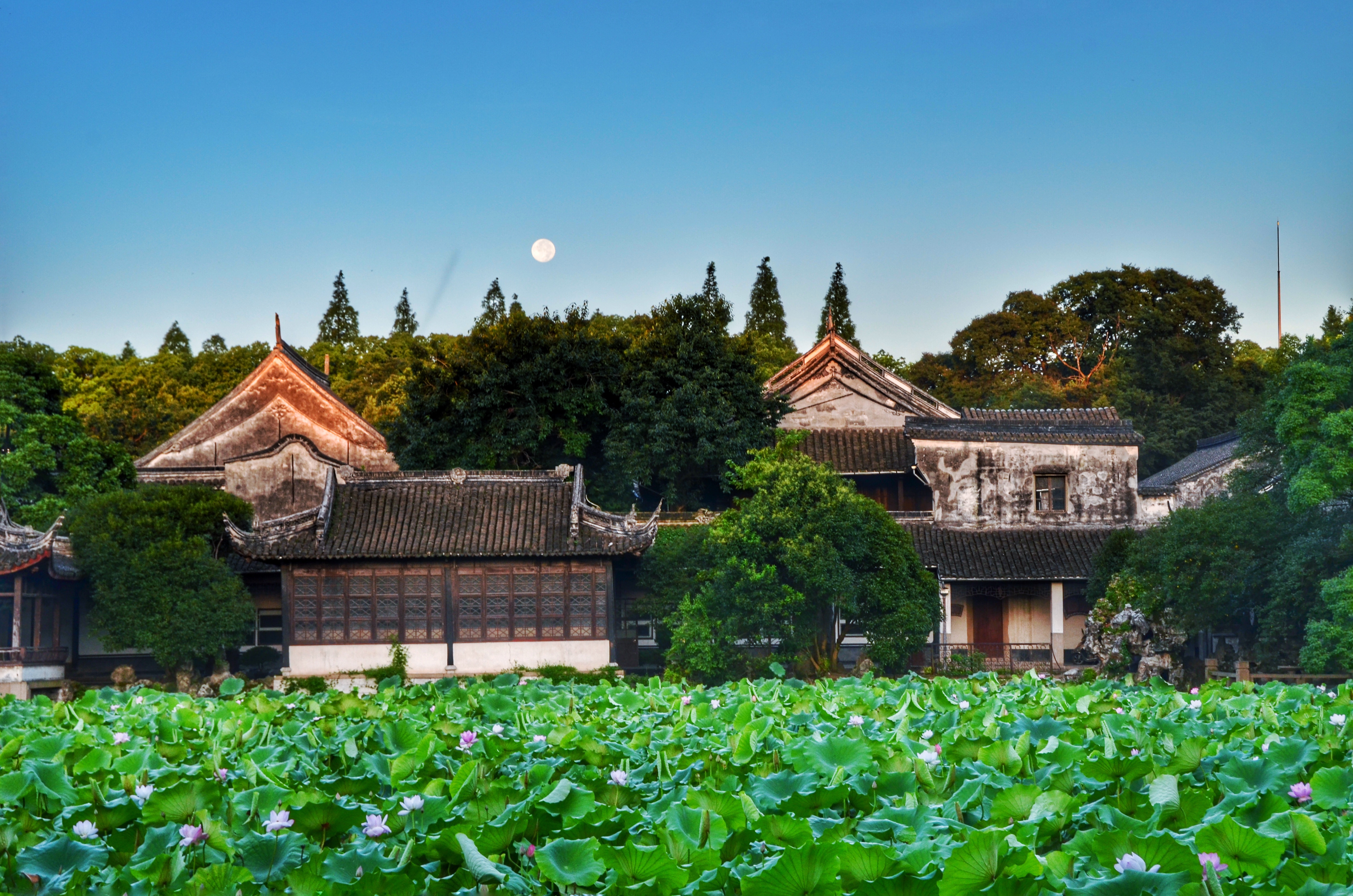 南浔古镇虾客大会要不要约,2023南浔虾客大会从什么时间开始