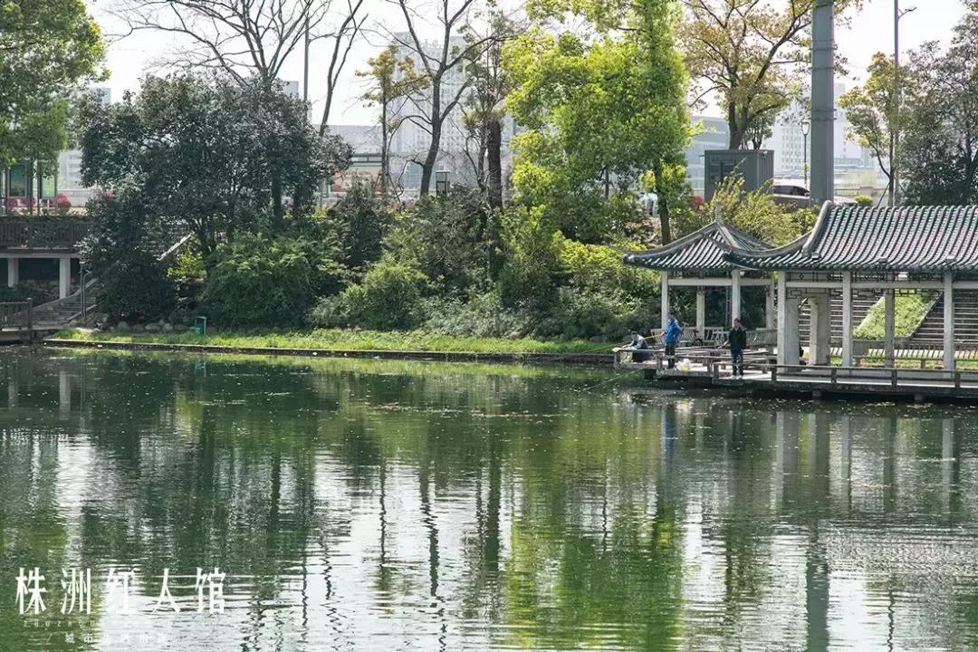 株洲神农公园老照片,株洲市神农公园