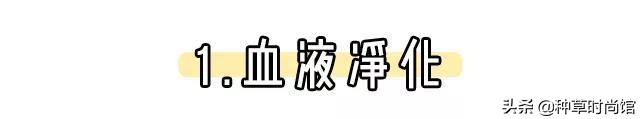 美容养生灌肤,美容灌肤正确方法步骤