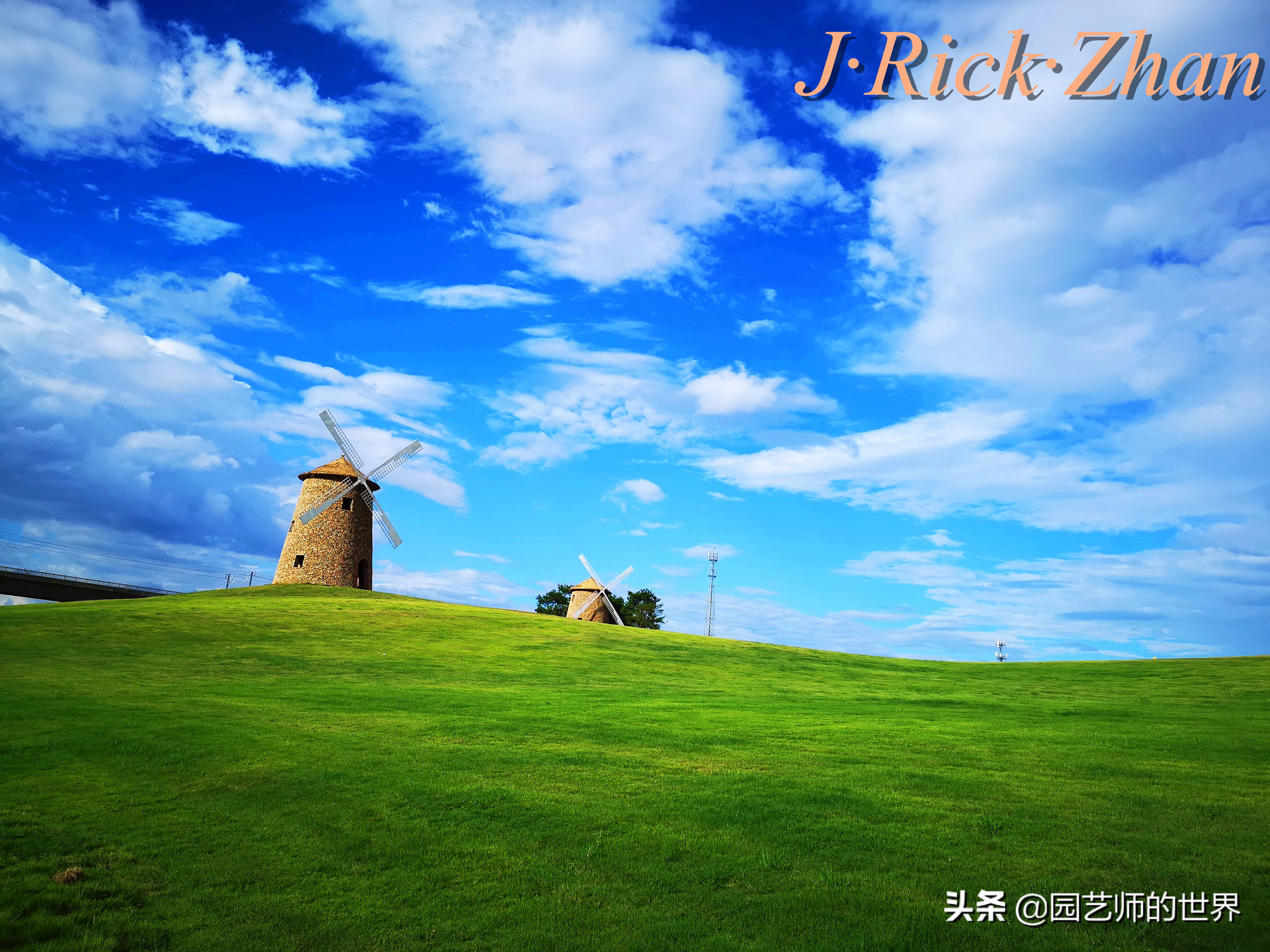 怎样种植草坪技术,果岭草坪的种植养护方法及技巧