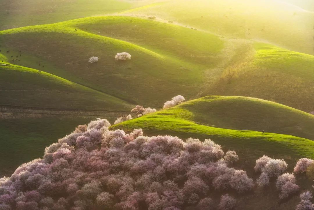 这才是国内最美的地方,这才是中国34省最该去的地方