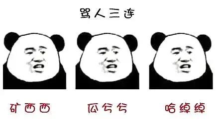 四川方言翻译成普通话,四川方言中文翻译成普通话