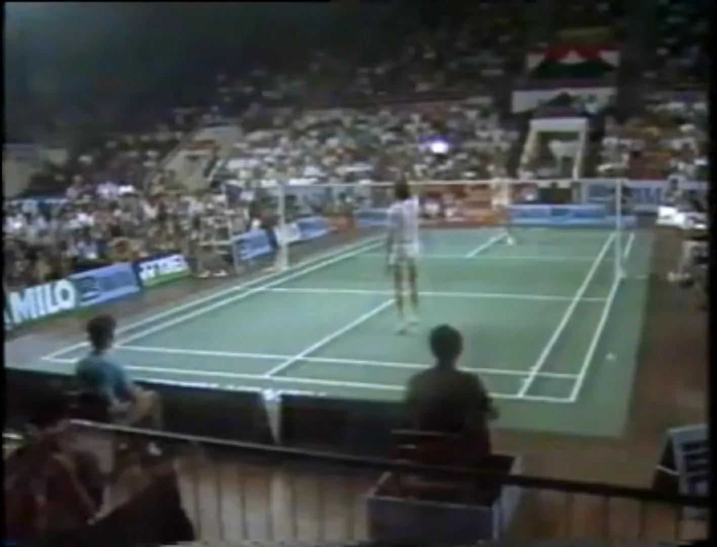 羽坛封神的球员,羽坛封神榜林丹