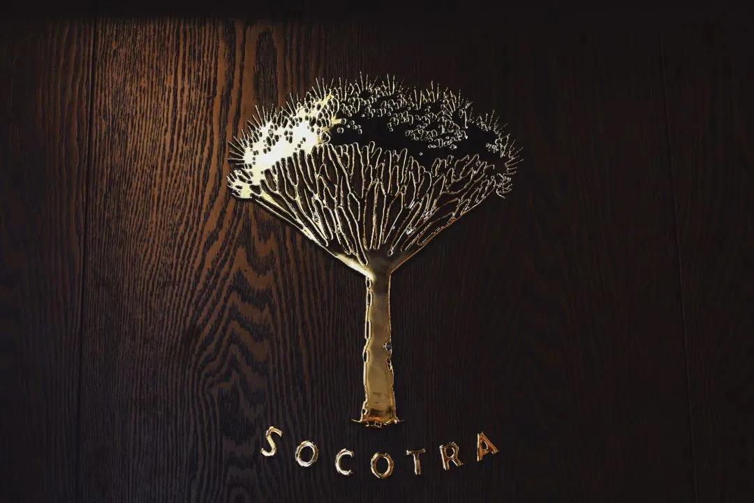 天津探店国贸,带你探店天津美食