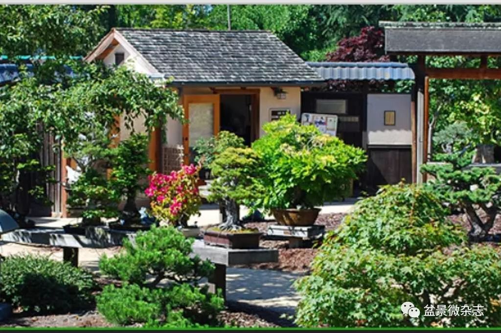 开盆景园是否赚钱,开一个盆景店赚钱吗现在