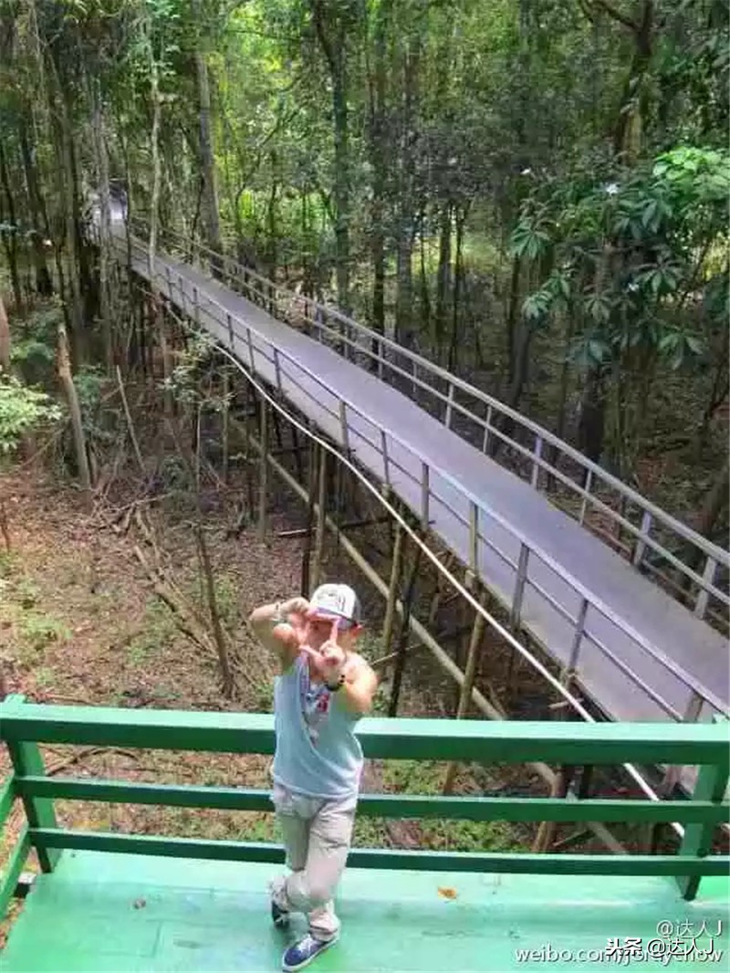 全国10大特色酒店,全国十大最具特色酒店