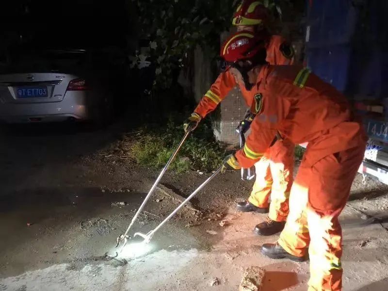 什么蛇最毒咬到了人会怎么样,毒性最强的蛇多久可以致死