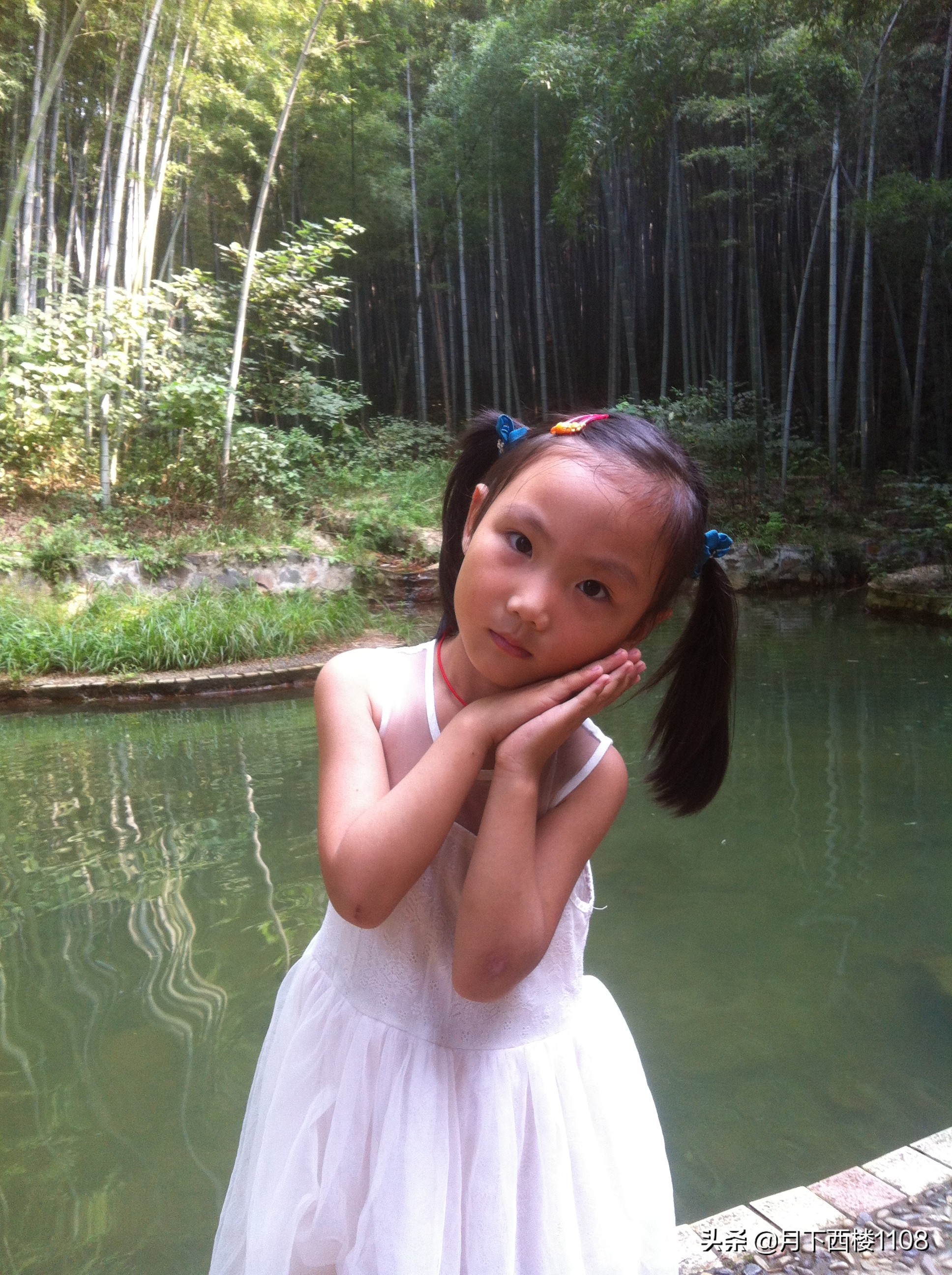 江苏南山竹海天然氧吧,南京石塘竹海风景区开放了吗