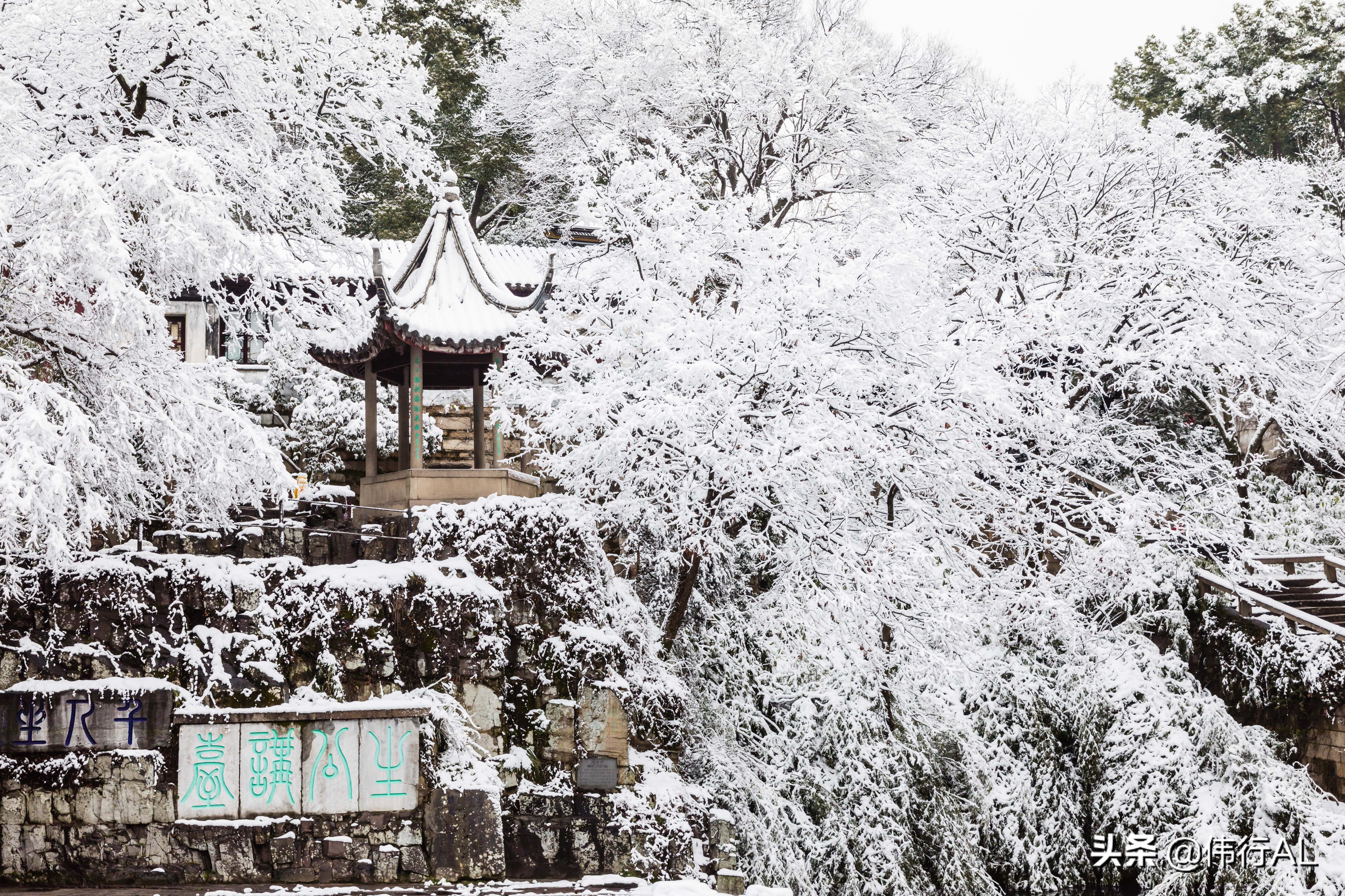 虎丘的十八景,吴中第一名胜虎丘纪念章