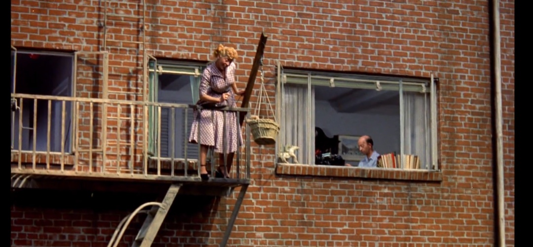 希区柯克经典电影后窗,希区柯克后窗艺术