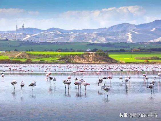 日不落帝国的遗产，塞浦路斯（Cyprus）