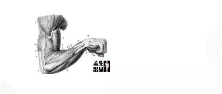 白蛋粉的作用和危害外用,蛋白粉与蛋白质粉功效一样吗