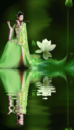 荷花的美惊艳了岁月,荷花温柔的绽放