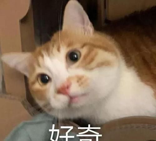 笑话十条,十条长篇笑话