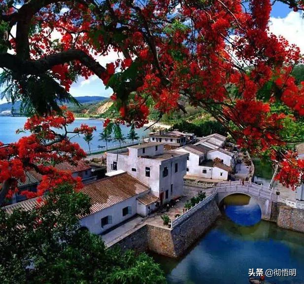 江阳区好玩的地方景点,泸州江阳区好玩景点排名