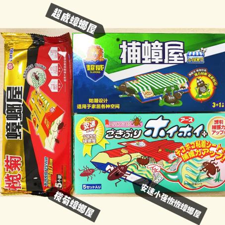 走心测评｜30+姐姐事业风生水起，除蟑也必须一流