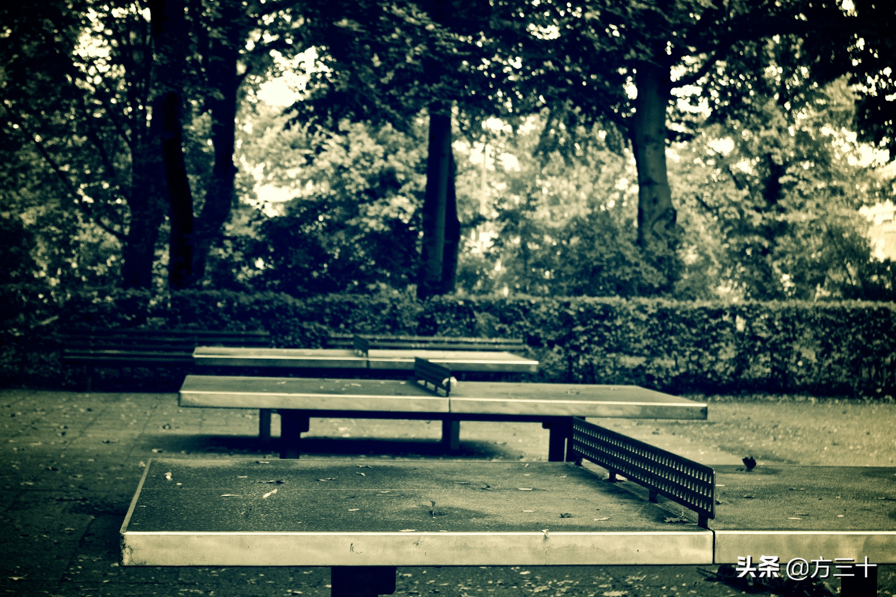 纪念一下环东湖，以及我的青春，骑行、乒乓、足球