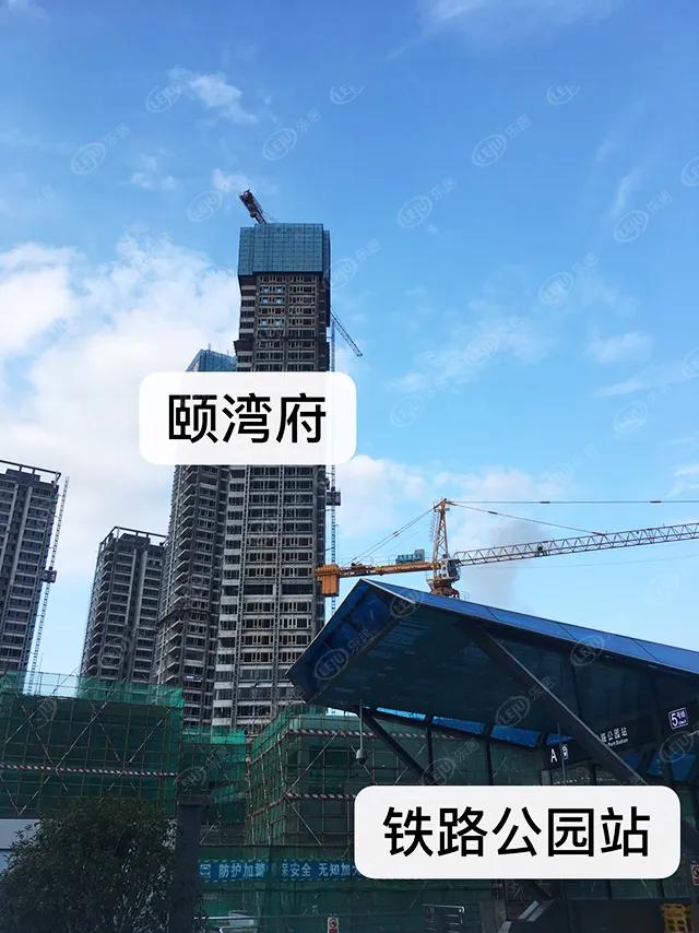 猛虎pk,猛虎队pk猎豹队谁强谁弱