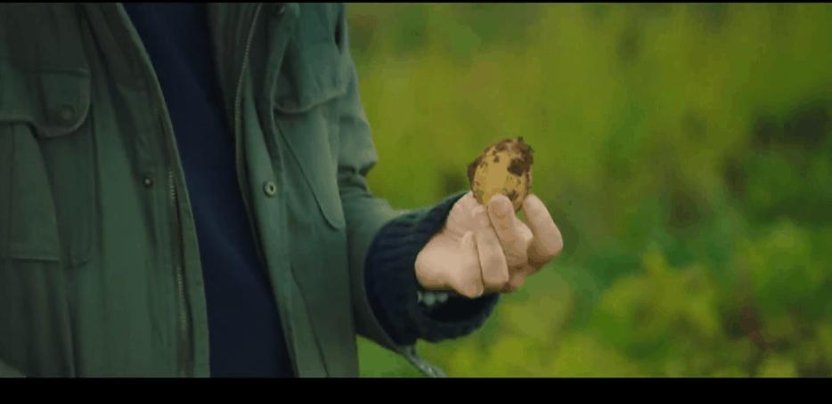 豆瓣9.6,这个“英国版李子柒”承包了我本月的笑点