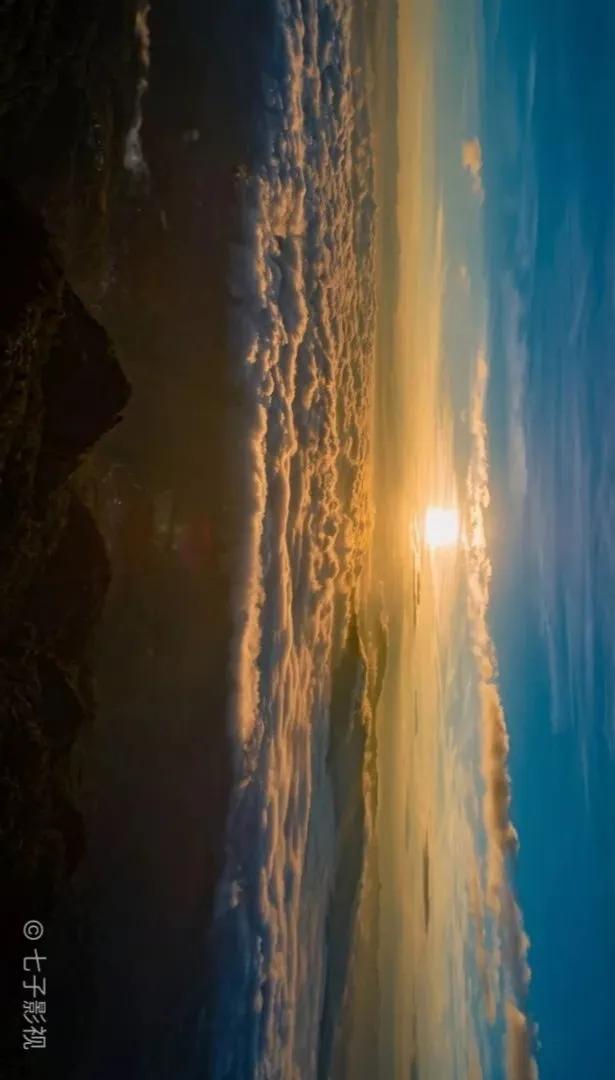 这是一个充满生机的公园怎么说,这是一个充满生机的国度朗诵