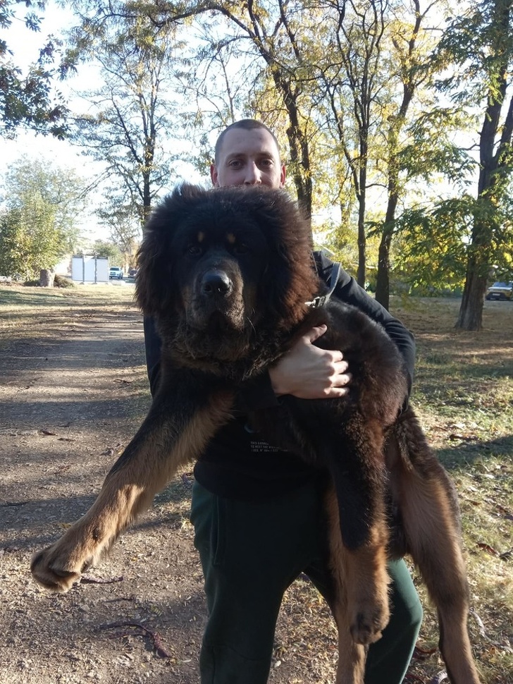 13只动物图片,12张让人惊叹的动物的照片