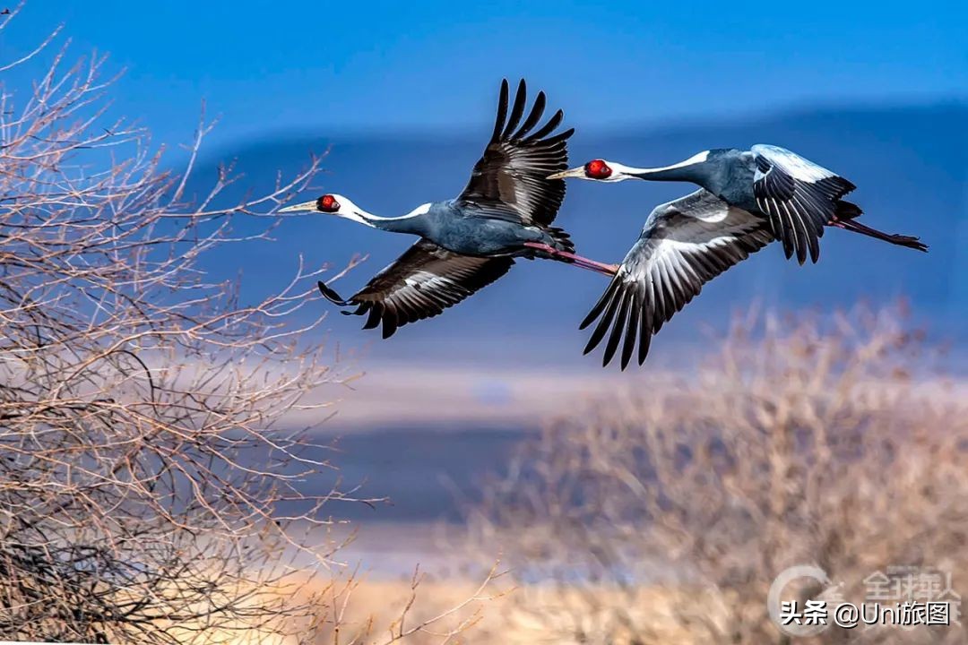 美图欣赏黄河全貌,航拍九曲黄河最美视频