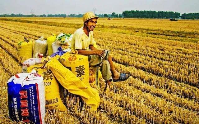 都说房子不好卖可是成交量在哪里,长春的房子为啥难卖