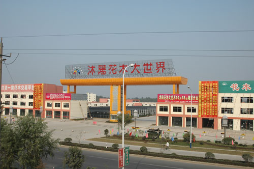 宿迁的三个县哪个经济更发达,宿迁发展最好的县