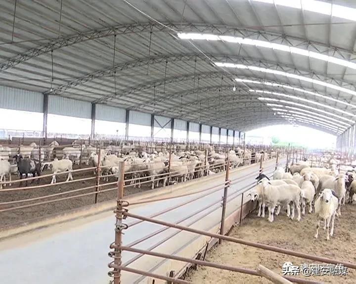 田园农场生态农业发展,许昌果牧香家庭农场