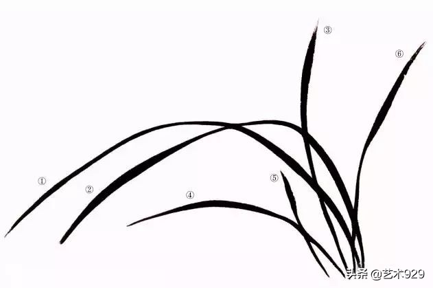 国画兰花的画法太棒了简单易学,泰国兰花绘画技法