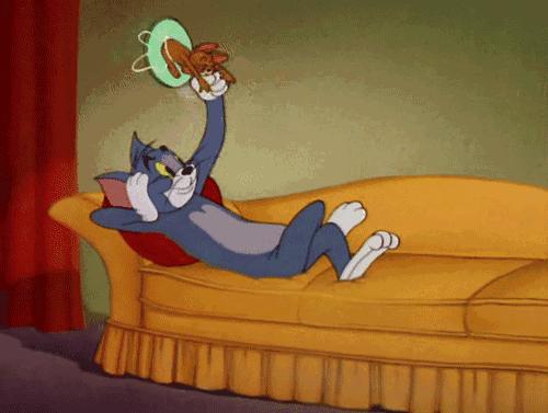 养猫就是抓老鼠吗,还有多少人养猫是为了抓老鼠的