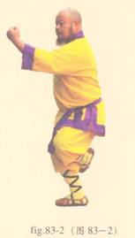 少林心意门拳视频教程,少林长护心意拳图解