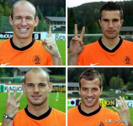 荷兰足球十大巨星斯内德,斯内德荷兰国脚