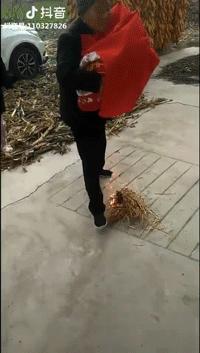 快手抖音上的扶风，充满了陕西县城的狂野