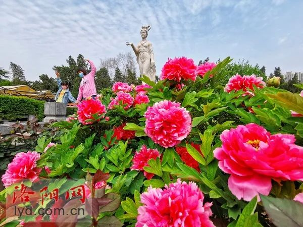 收藏!洛阳人必备的地铁乘坐手册