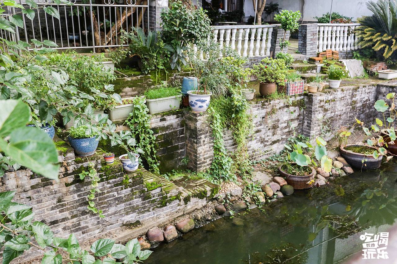 长沙靖港古镇与乔口古镇哪个好玩,乔口古镇有什么好玩的