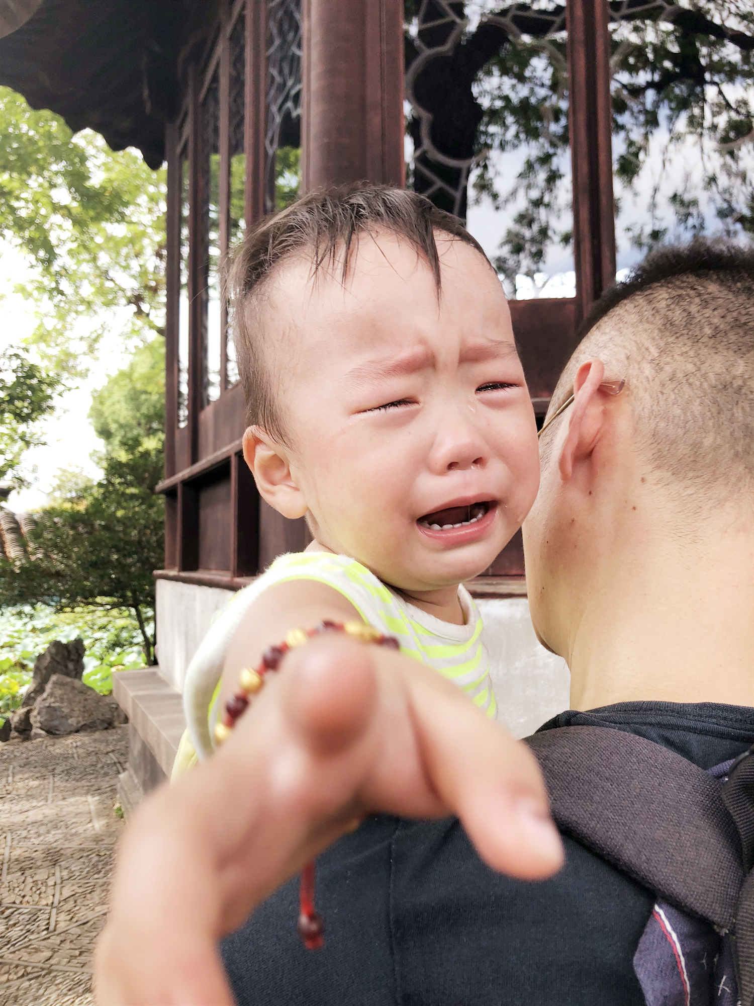 周日苏州亲子游玩地点推荐,苏州亲子游攻略一日游最佳路线