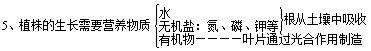 七上种子植物知识点,初中生物会考知识点植物种子