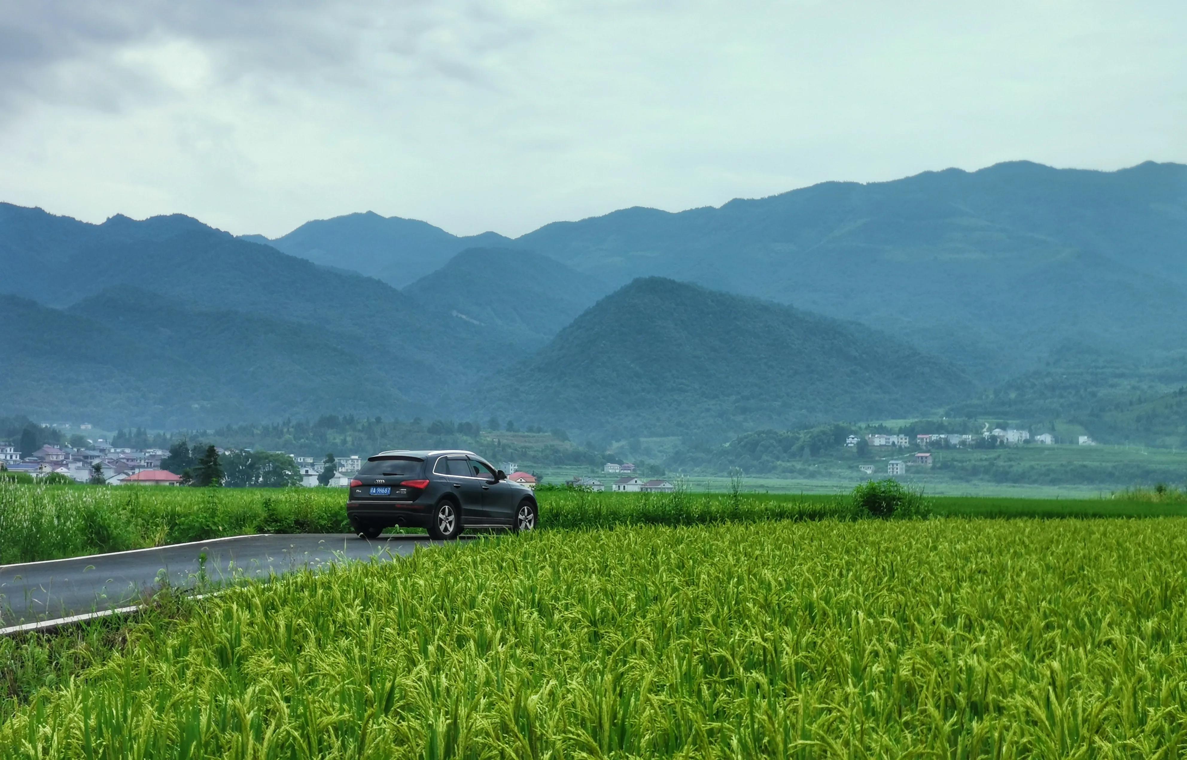 你会去莲花玩吗？我找到了3个“趣味点”，玩了一次跟着喜欢走