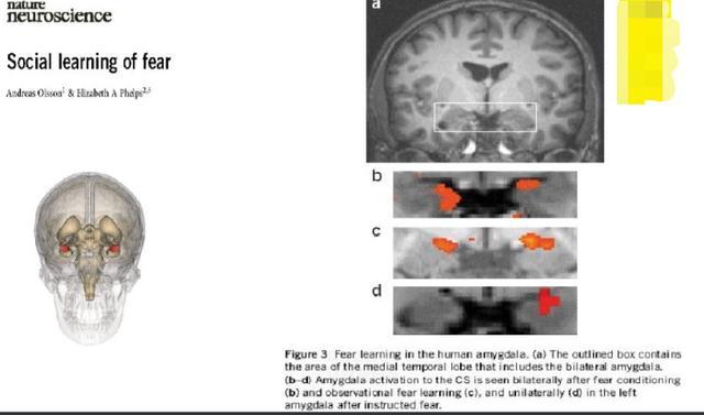 本命年会倒霉是不是迷信,为什么说本命年会倒霉