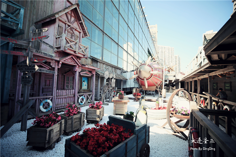 北方明珠活力四射的浪漫之都大连，国内最具特色的海洋世界圣亚