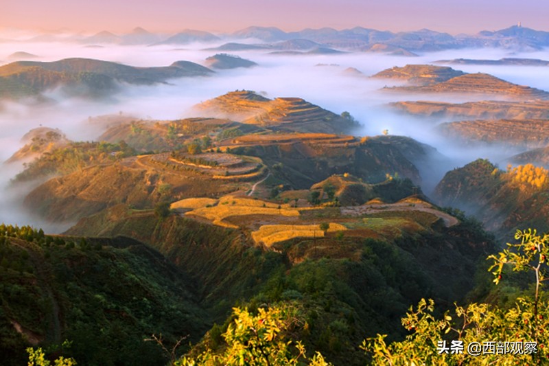 陕北高原一抹动人风景,陕北黄土高原山丹丹花风景视频