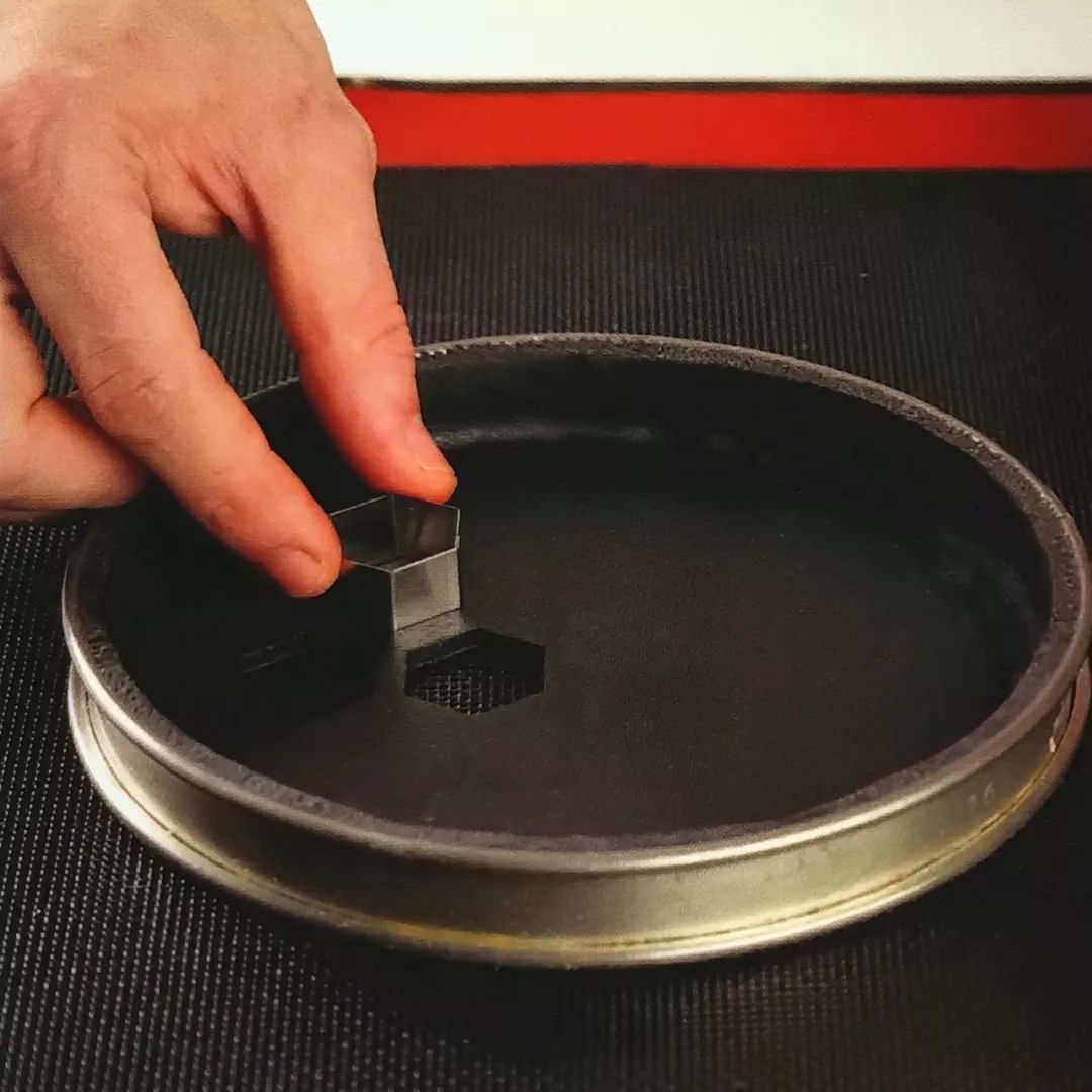 蜂蜜挞——一只小蜜轰,灰到发丛中