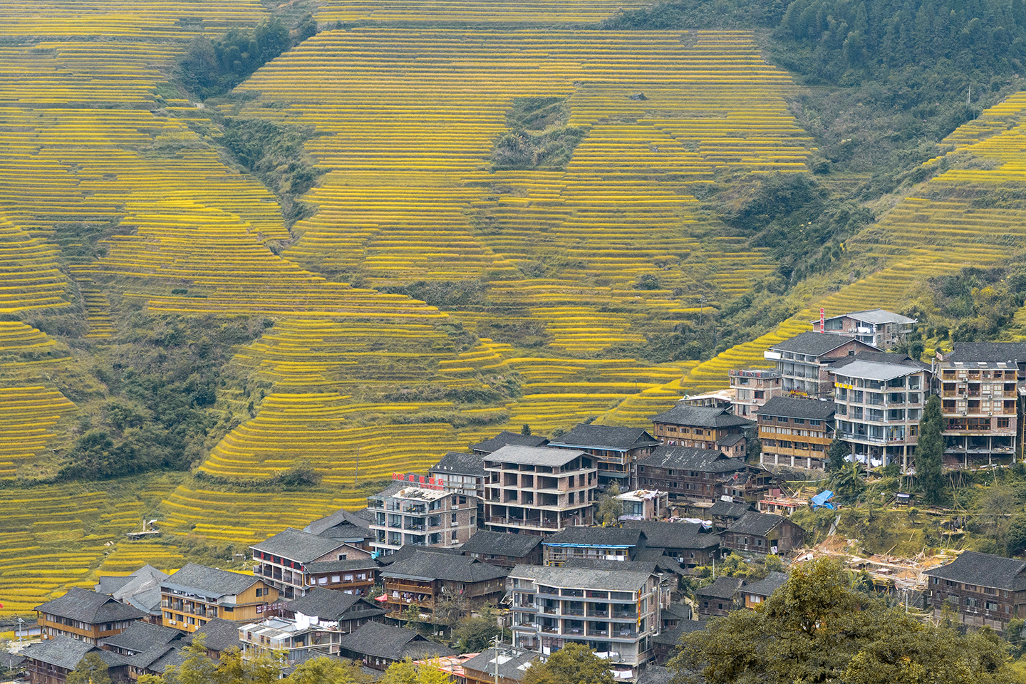 世界奇观龙脊梯田视频,世界梯田之冠桂林龙脊梯田